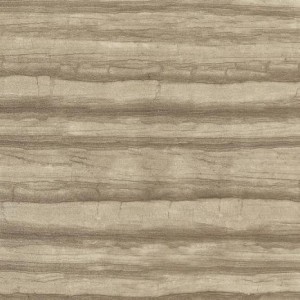 Gạch lát sàn Trường Thịnh STONE AGE Y990821P